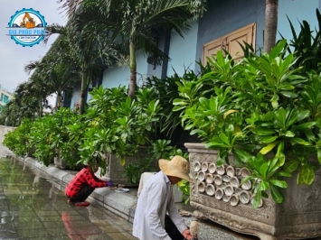 Gia Phúc Phát - Dịch Vụ Nhận Thi Công Tạo Cảnh Quan Cây Xanh Uy Tín